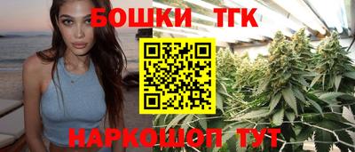 индика Гудермес