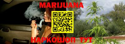индика Гудермес