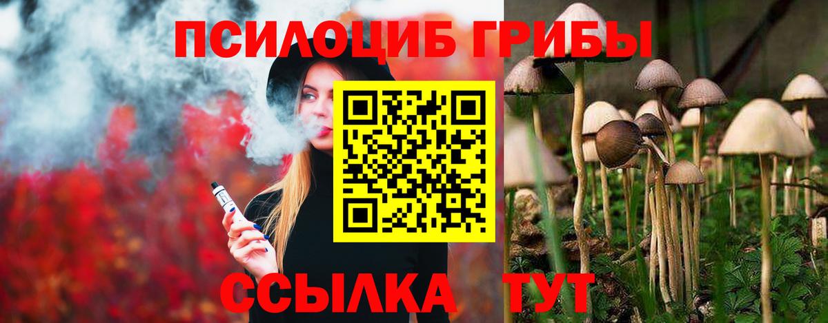 Вышний Волочёк  Псилоцибиновые грибы Psilocybine cubensis  Вход с VPN 
