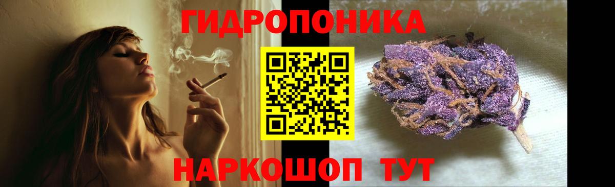 Бошки Шишки SATIVA & INDICA  Вход с VPN  Канабис White Widow  Каннабис THC 21%  Вышний Волочёк 